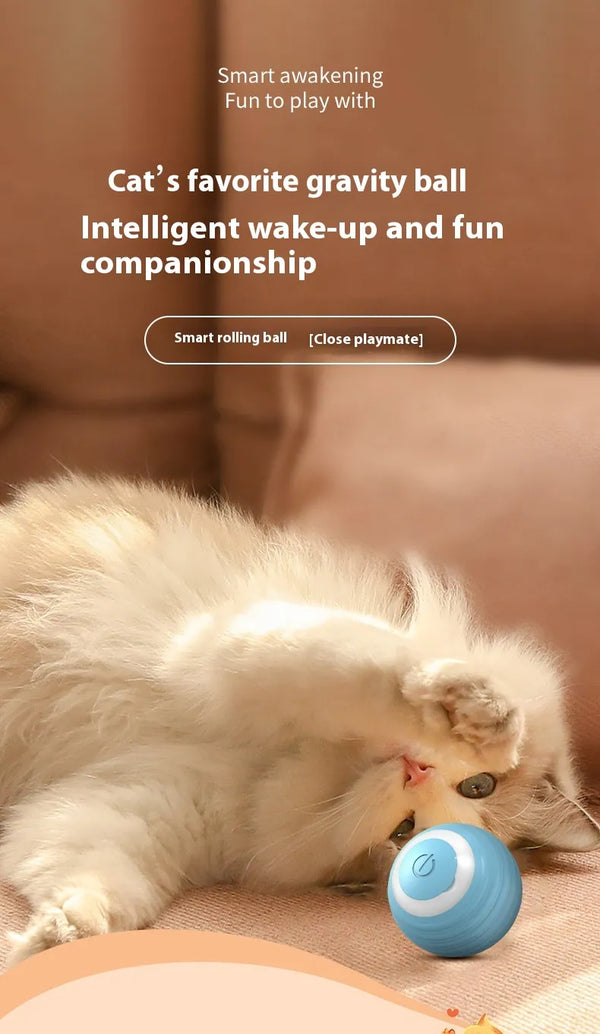 🐕 The Importance of Fresh Water for Pets