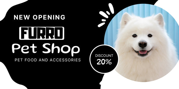 🐾 Why Every Pet Needs the Right Essentials